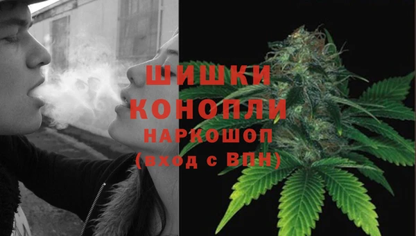 шишки Алзамай