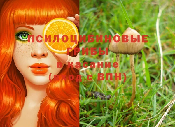 гидра Алексеевка