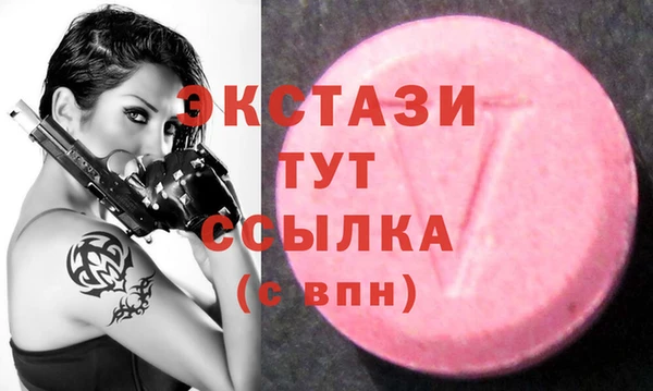 гидра Алексеевка